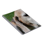 Beagle Notizblock (Rechte Seite)