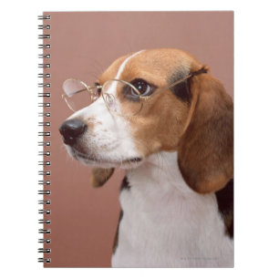 Beagle Notizblock