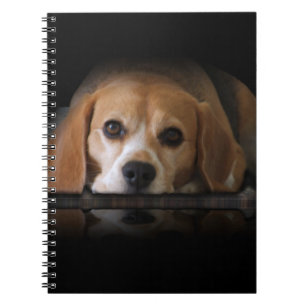 Beagle-Notizbuch Notizblock