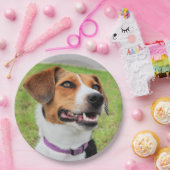 Beagle Pappteller (Party)