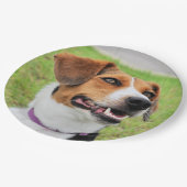 Beagle Pappteller (Schrägansicht)