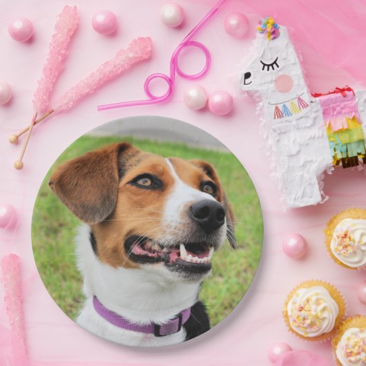 Beagle Pappteller (Party)