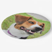 Beagle Pappteller (Schrägansicht)