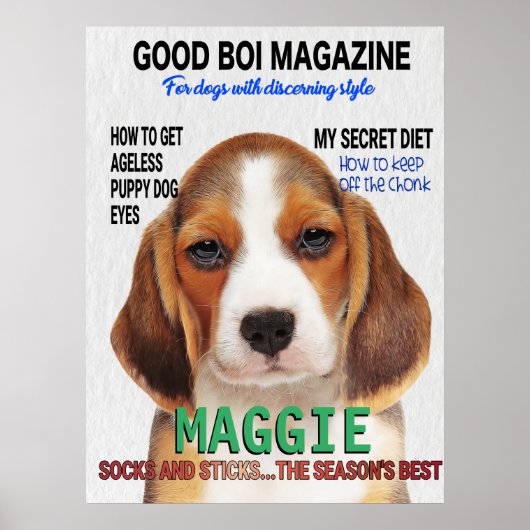 Beagle Parody Magazine Cover Poster (Vorne)