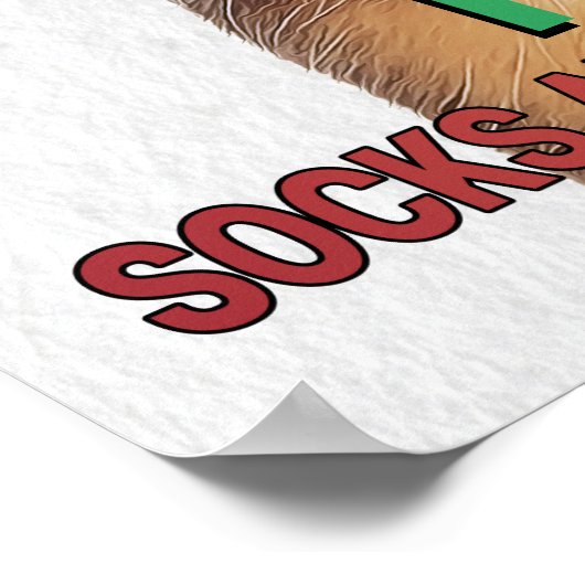 Beagle Parody Magazine Cover Poster (Ecke)