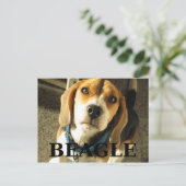 Beagle pic w name postkarte (Stehend Vorderseite)