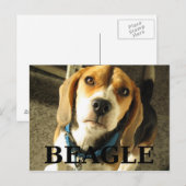 Beagle pic w name postkarte (Vorne/Hinten)