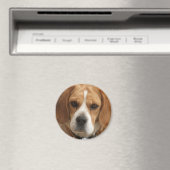 Beagle Pictures Round Magnet (In Situ (Geschirrspüler))