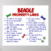 BEAGLE PL2 POSTER (Vorne)