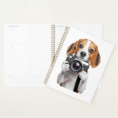 Beagle Planer (Anzeige)