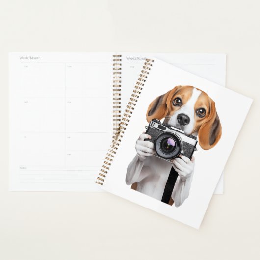 Beagle Planer (Anzeige)