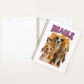 Beagle planer (Anzeige)