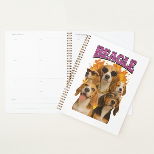 Beagle planer (Anzeige)