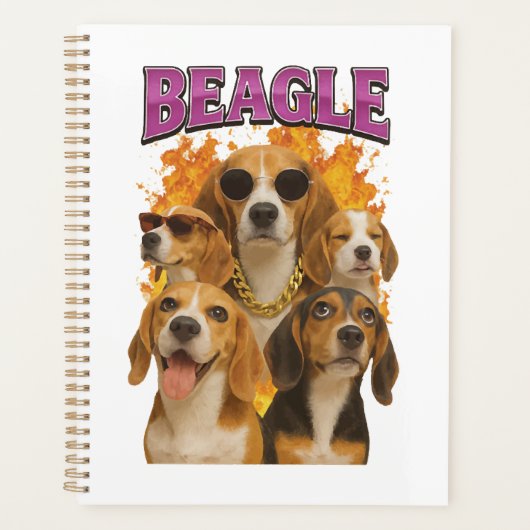 Beagle planer (Vorderseite)