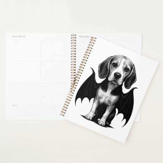 Beagle        planer (Anzeige)
