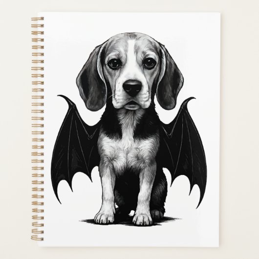 Beagle        planer (Vorderseite)