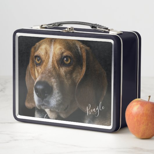 Beagle Portrait Metall Brotdose (Beispiel)