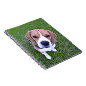Beagle-Portrait-Notebook Notizblock (Rechte Seite)