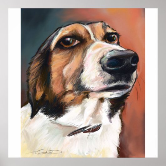 Beagle Portrait | Zeichnend Farbstift Poster (Vorne)