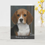 Beagle-Porträt-Karte Karte (Gelbe Blume)