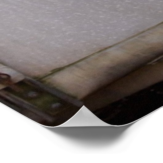 Beagle Poster (Ecke)