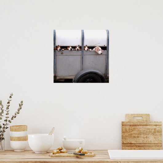 Beagle Poster (Küche)