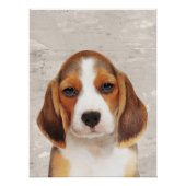 Beagle Poster (Vorderseite)