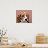 Beagle Poster (Küche)