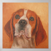 Beagle Poster (Vorne)