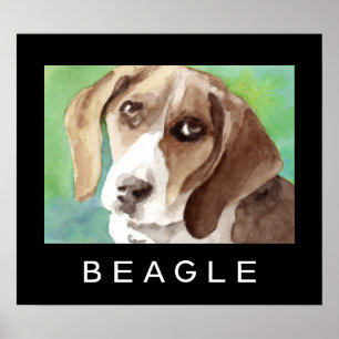 Beagle Poster