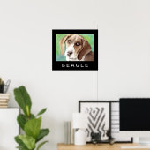 Beagle Poster (Heimbüro)