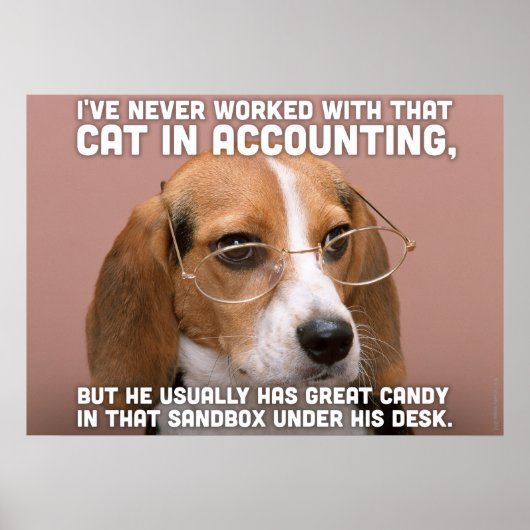 Beagle Poster (Vorne)