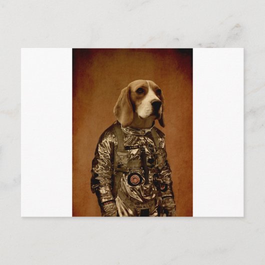 Beagle Postkarte (Vorderseite)