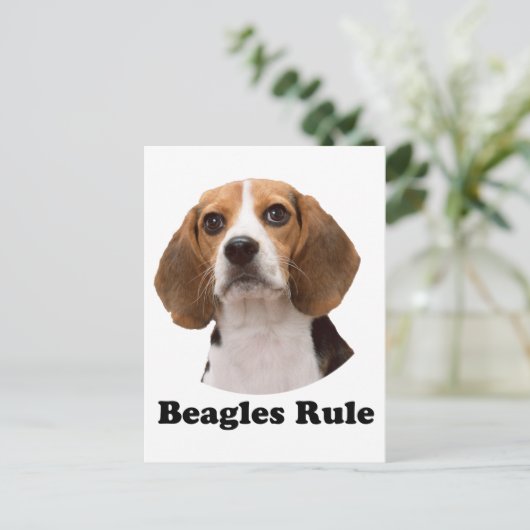 Beagle Postkarte (Stehend Vorderseite)