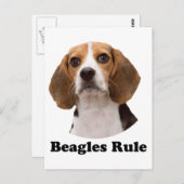 Beagle Postkarte (Vorne/Hinten)