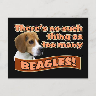 Beagle Postkarte
