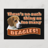 BEAGLE POSTKARTE (Vorderseite)