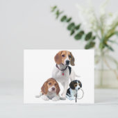 Beagle Postkarte (Stehend Vorderseite)
