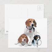 Beagle Postkarte (Vorne/Hinten)