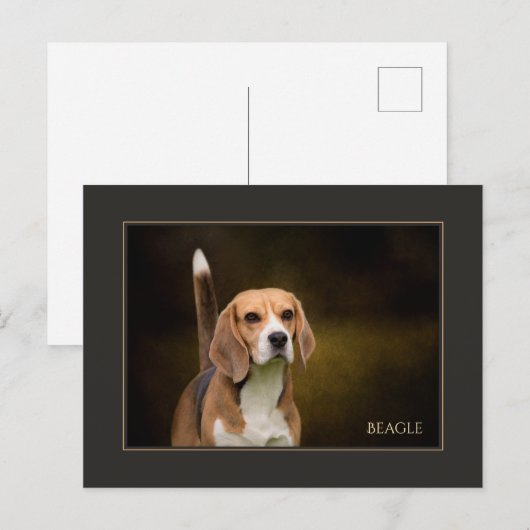 Beagle Postkarte (Vorne/Hinten)