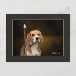 Beagle Postkarte