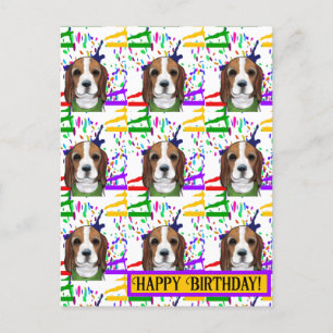 Beagle  postkarte