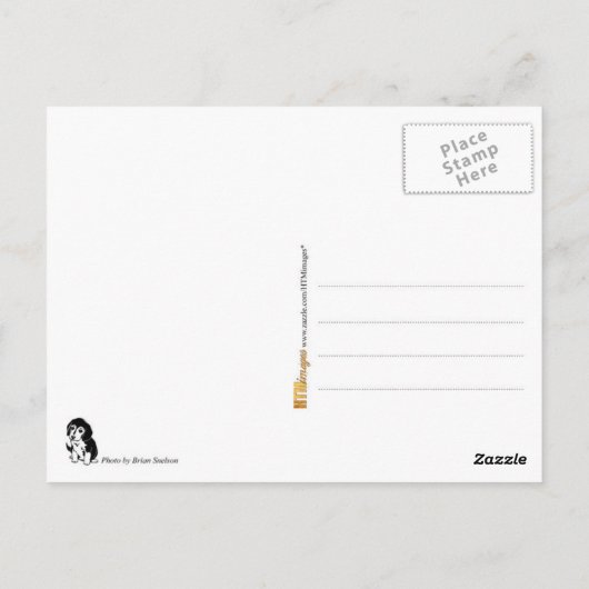 Beagle Pup Dreaming of Get Fit Postkarte (Rückseite)