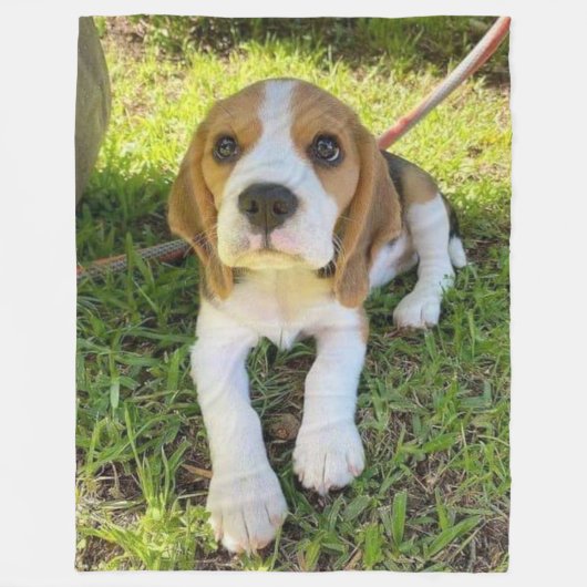 BEAGLE PUP FLEECEDECKE (Vorderseite)