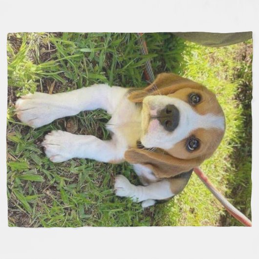BEAGLE PUP FLEECEDECKE (Vorderseite (Horizontal))