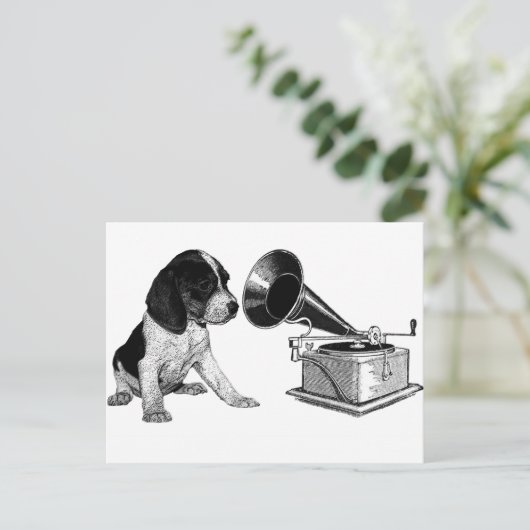 Beagle Pup mit Gramophon Postkarte (Stehend Vorderseite)
