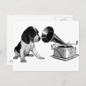Beagle Pup mit Gramophon Postkarte (Vorne/Hinten)