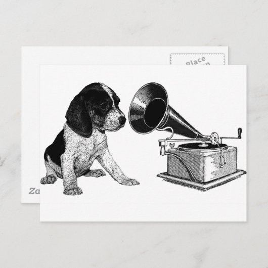 Beagle Pup mit Gramophon Postkarte (Vorne/Hinten)