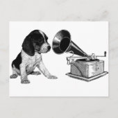 Beagle Pup mit Gramophon Postkarte (Vorderseite)
