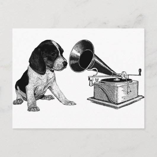 Beagle Pup mit Gramophon Postkarte (Vorderseite)